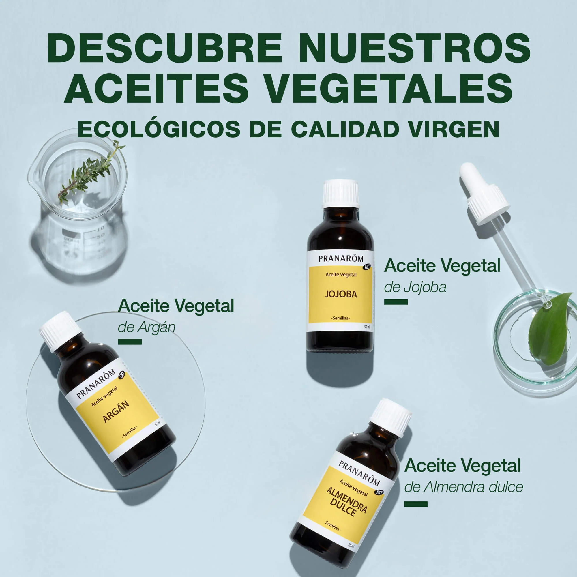 Aceite Vegetal Árnica 50 ml - Image 6