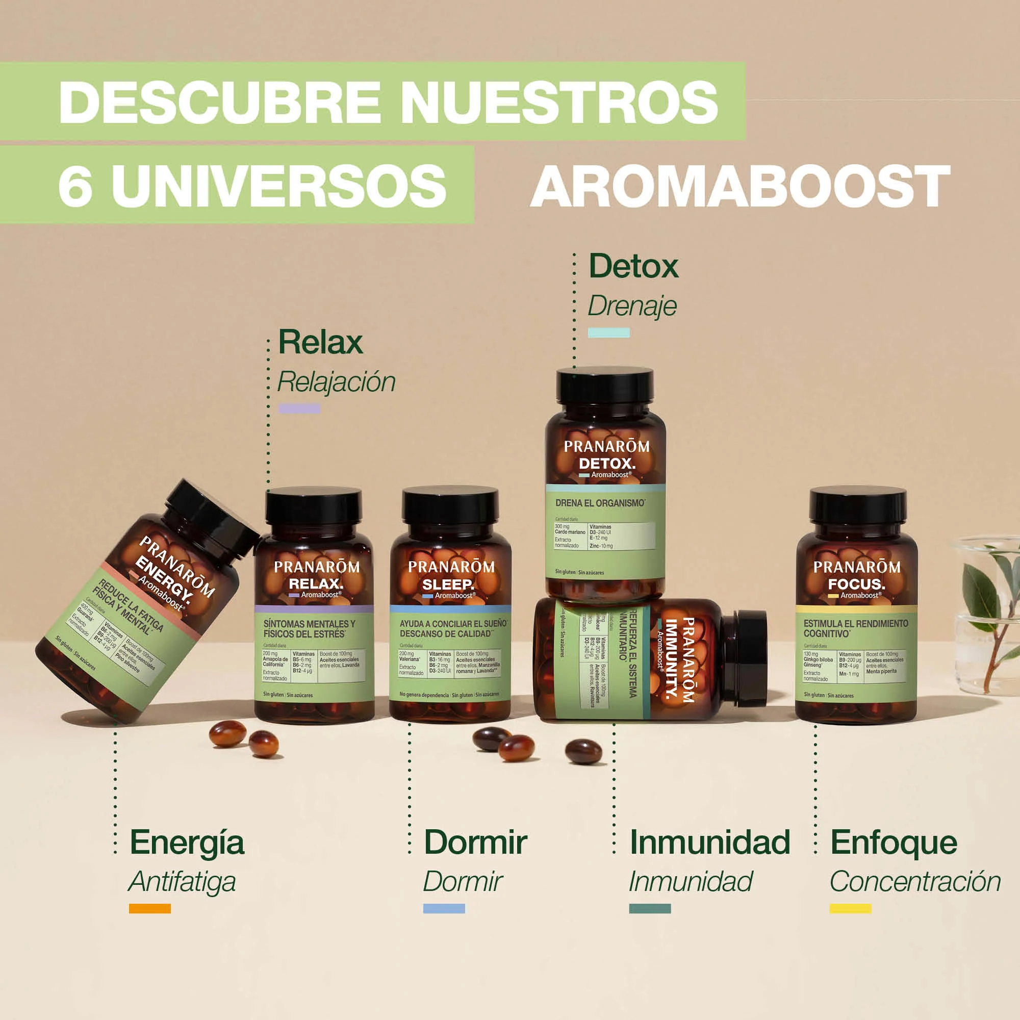 Immunity 60 Cápsulas - Image 6