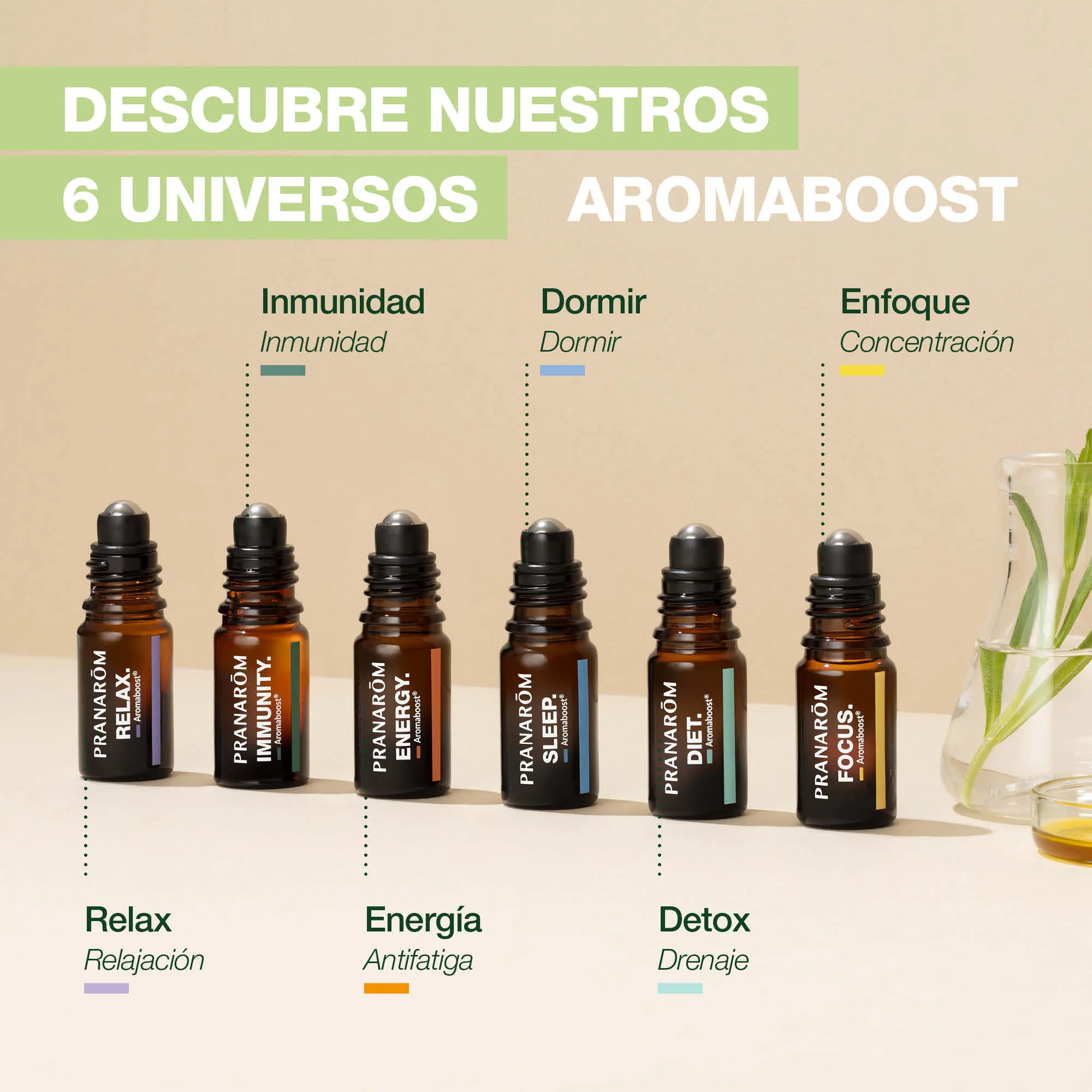 Roll On Diet 5 ml - Bio - Image 6