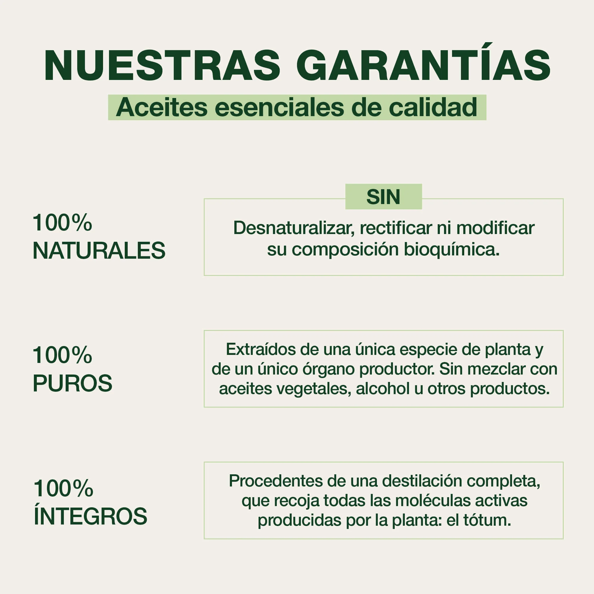 Bálsamo Pectoral 40 ml - Bio - Image 3