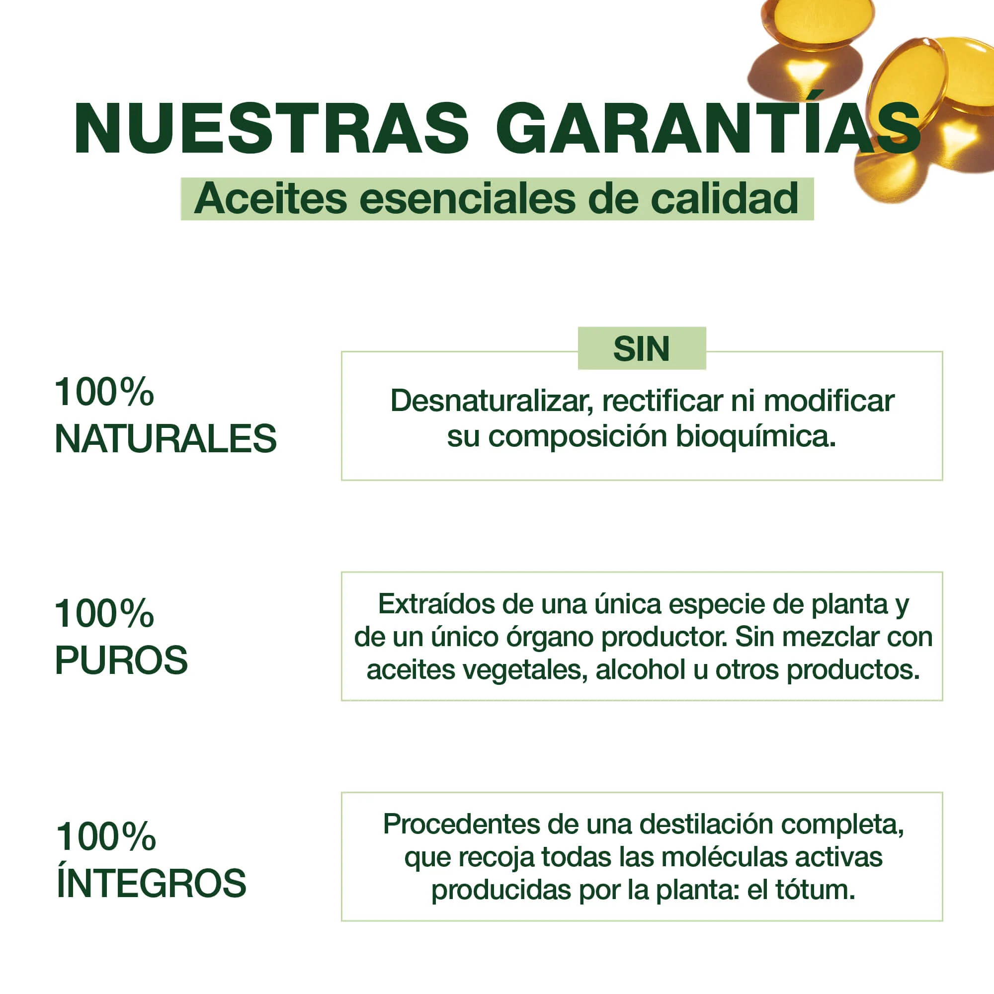 Cápsulas Sueño Forte - Image 3