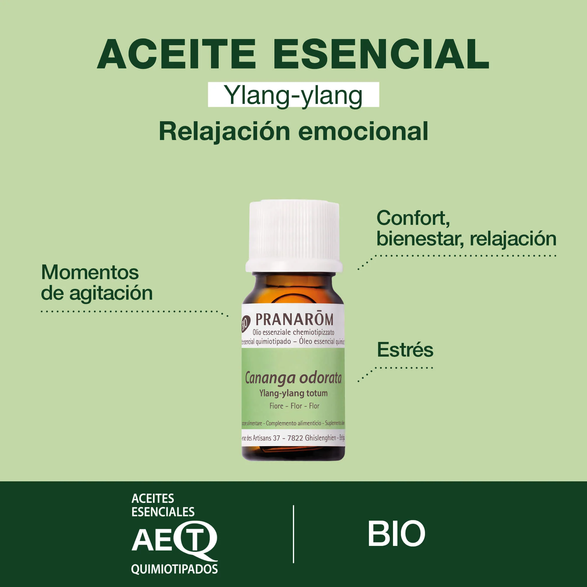 Dúo masaje con Ylang-Ylang - Image 2