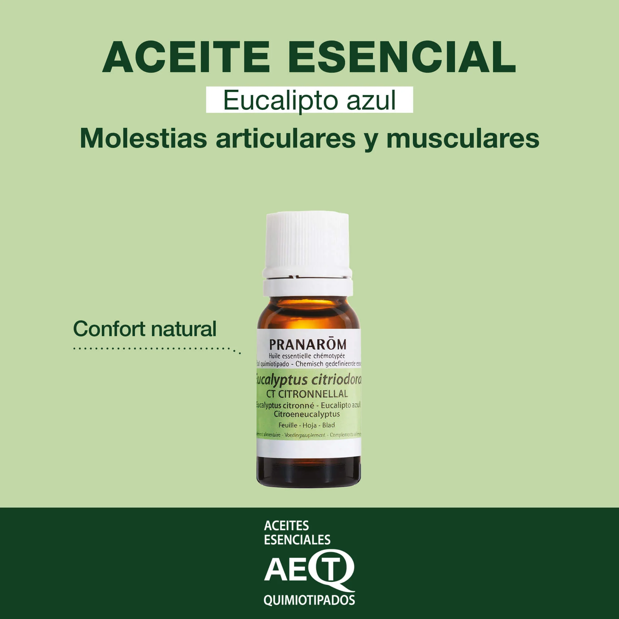 Aceite Esencial Eucalipto Azul 10 ml - Image 2