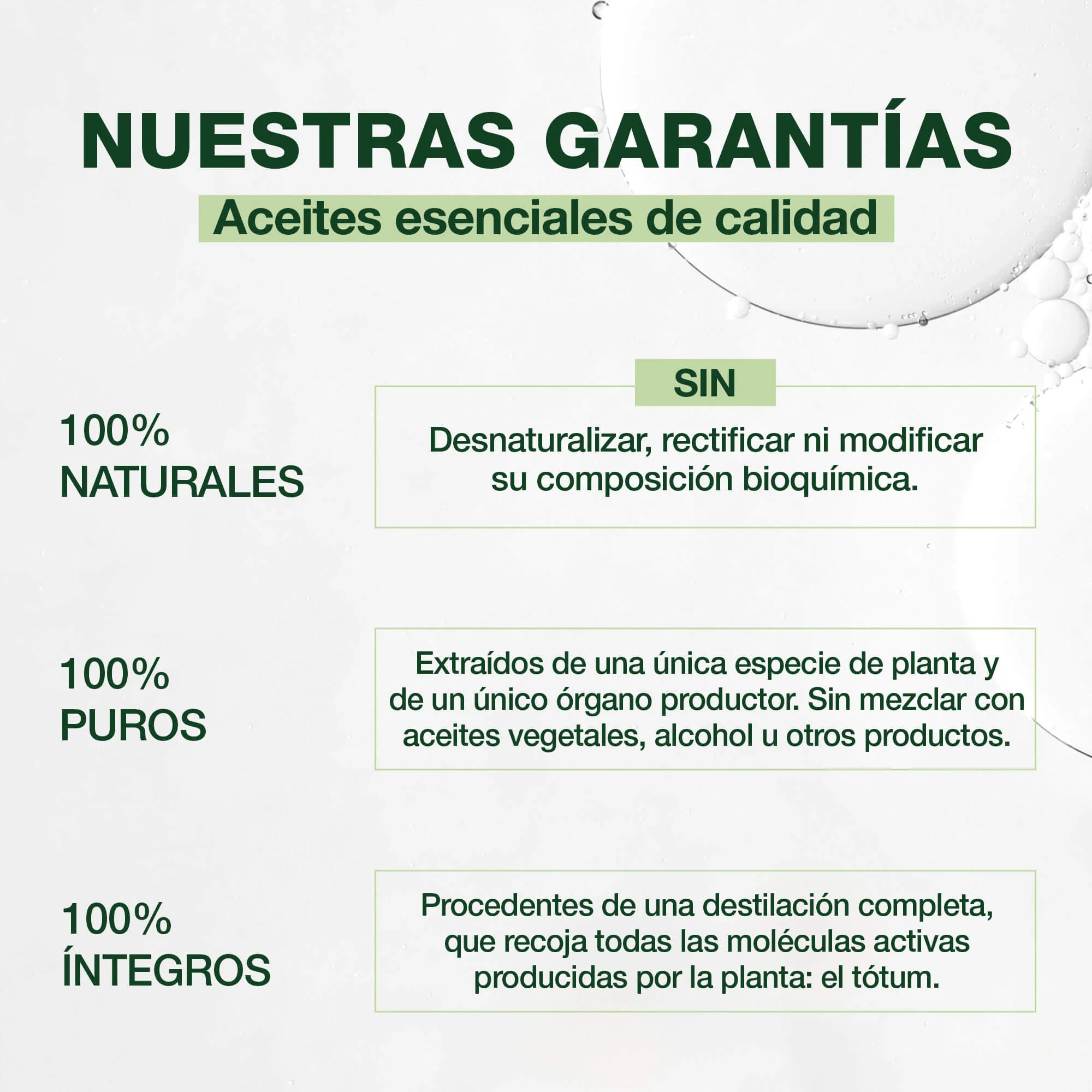 Aceite Esencial Eucalipto 10 ml - Bio - Image 4