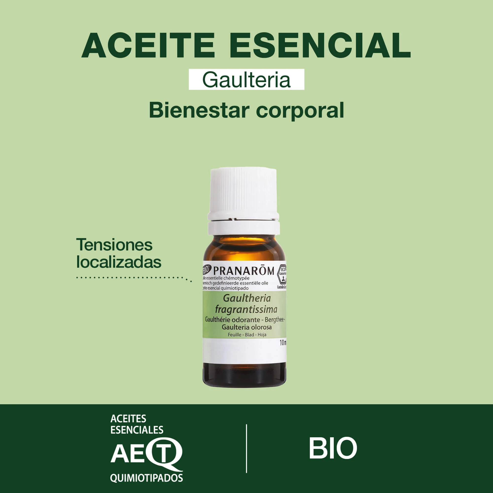 Aceite Esencial Gaulteria Olorosa 10 ml - Bio - Image 2