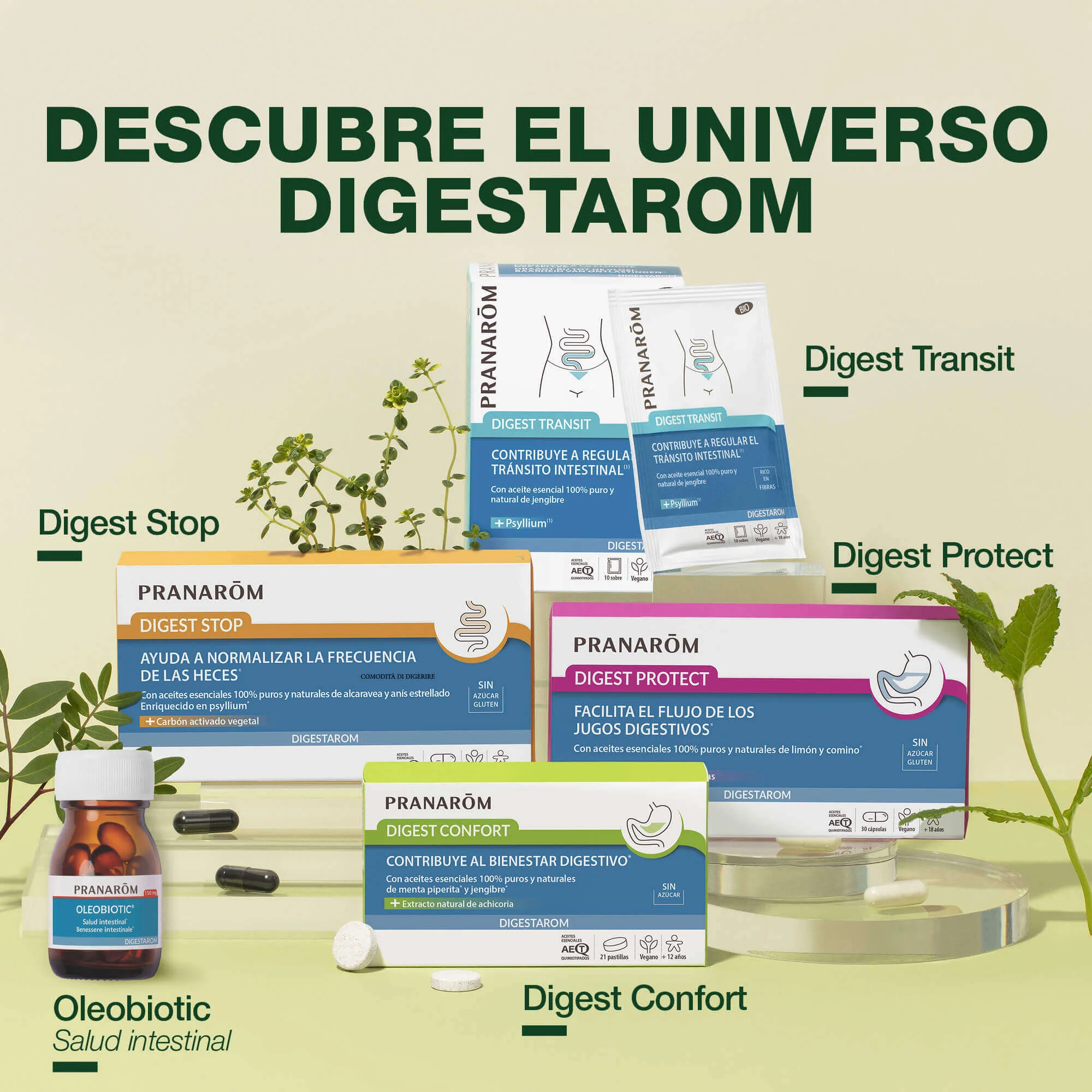Oleobiotic® Salud Intestinal - Image 6