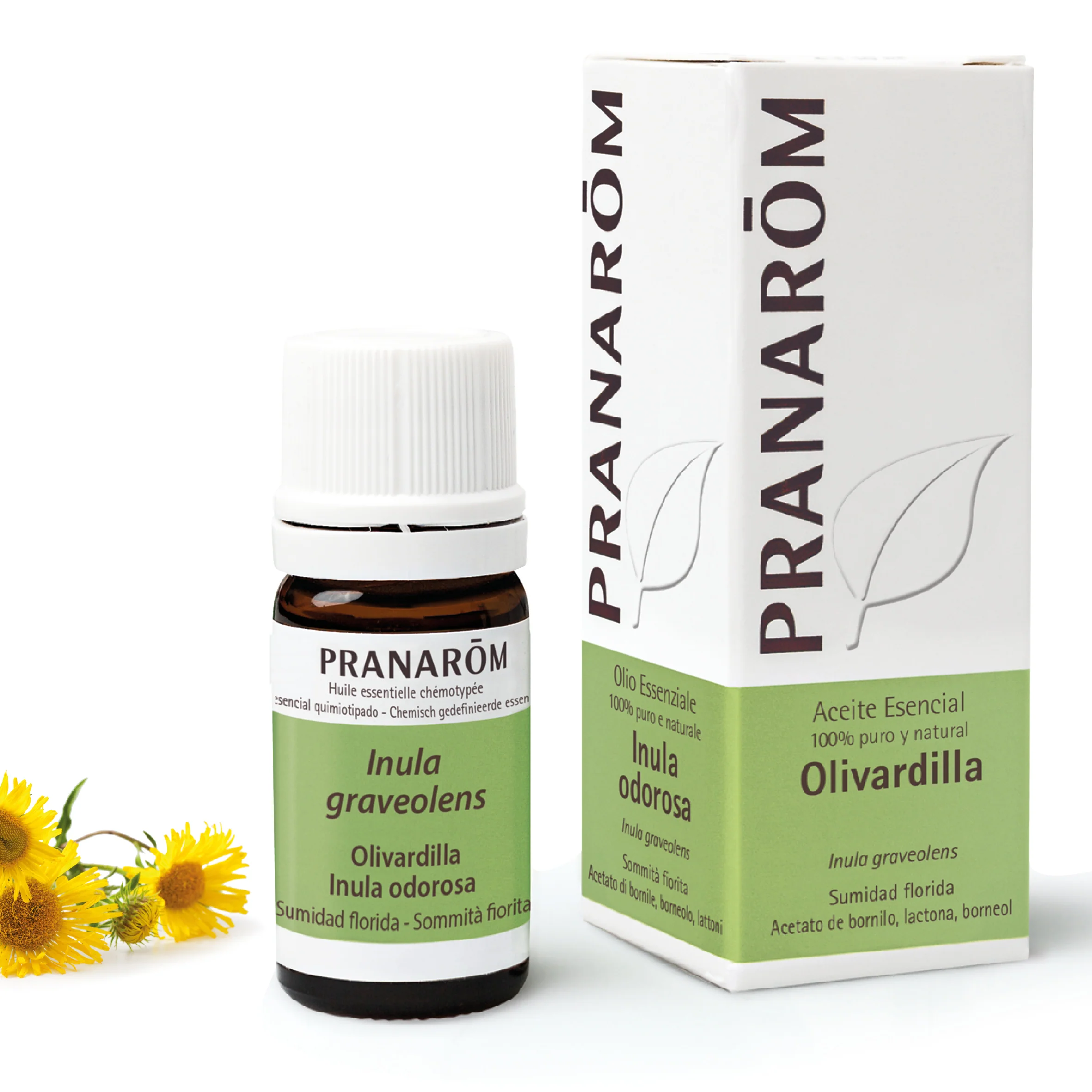 Aceite Esencial Olivardilla 5 ml - Bio