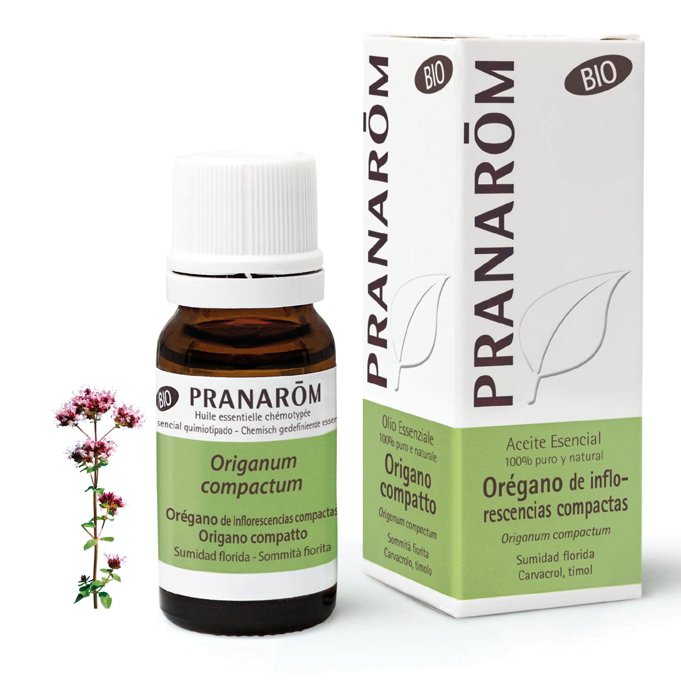 Aceite Esencial Orégano de Inflorescencias Compactas 10 ml - Bio