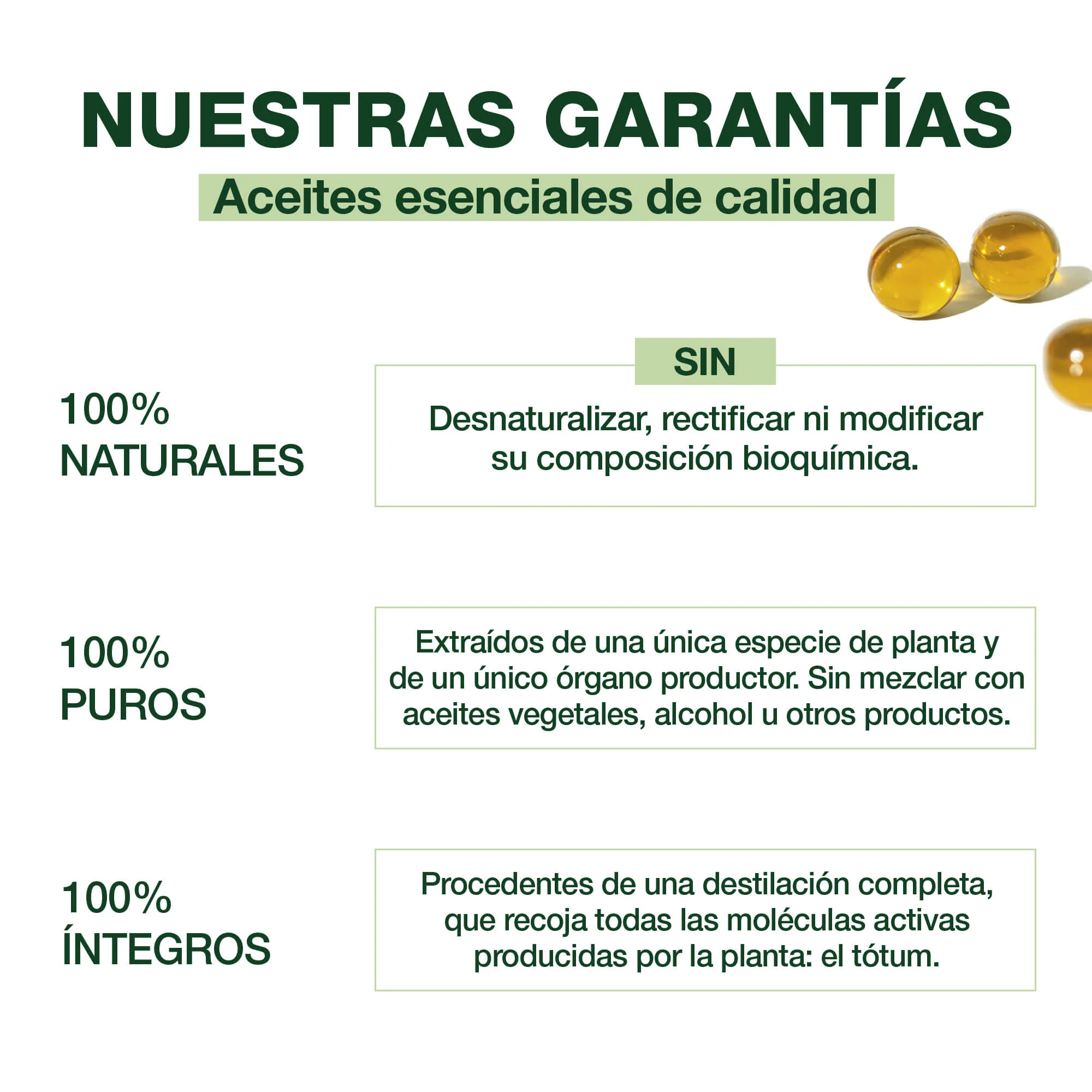 Aceite Esencial Perlas Ravintsara - Bio - Image 3