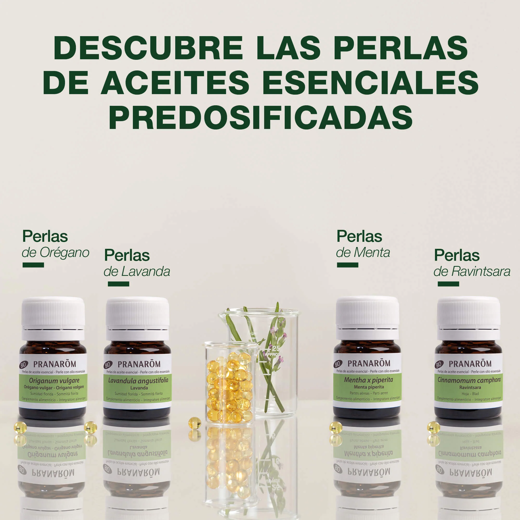 Aceite Esencial Perlas Ravintsara - Bio - Image 6
